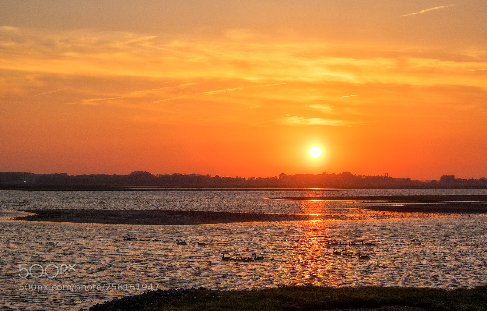 Fujifilm X-T1 sample photo. Tureluur sunset.... photography
