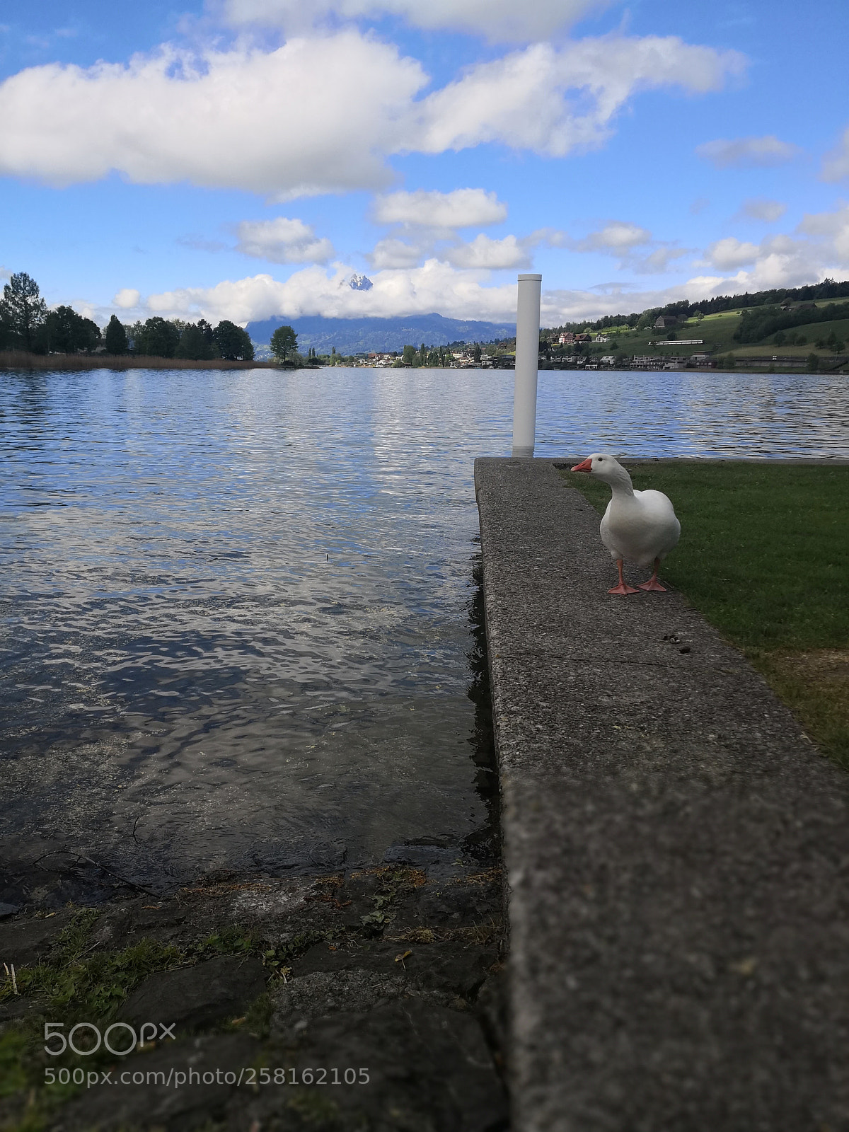 HUAWEI Mate 10 Pro sample photo. Untitled photography