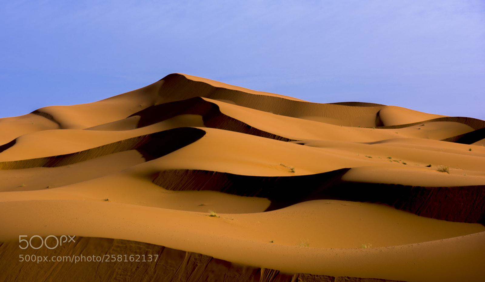 Nikon D810 sample photo. Path to oasis photography
