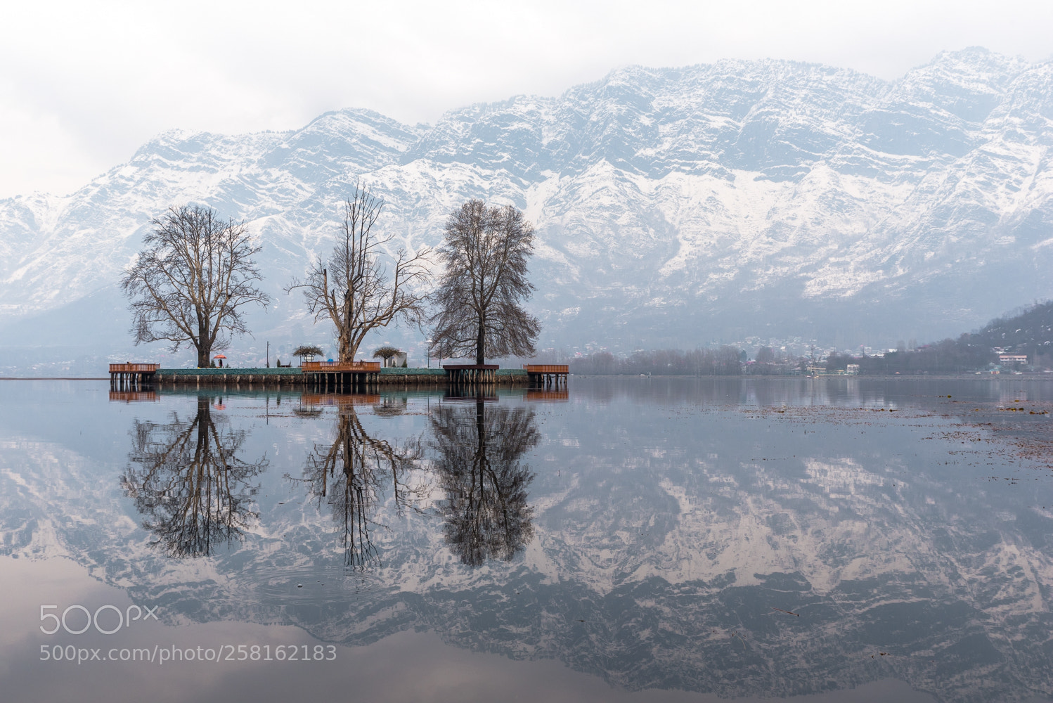 Nikon D750 sample photo. Reflection of char chinar photography
