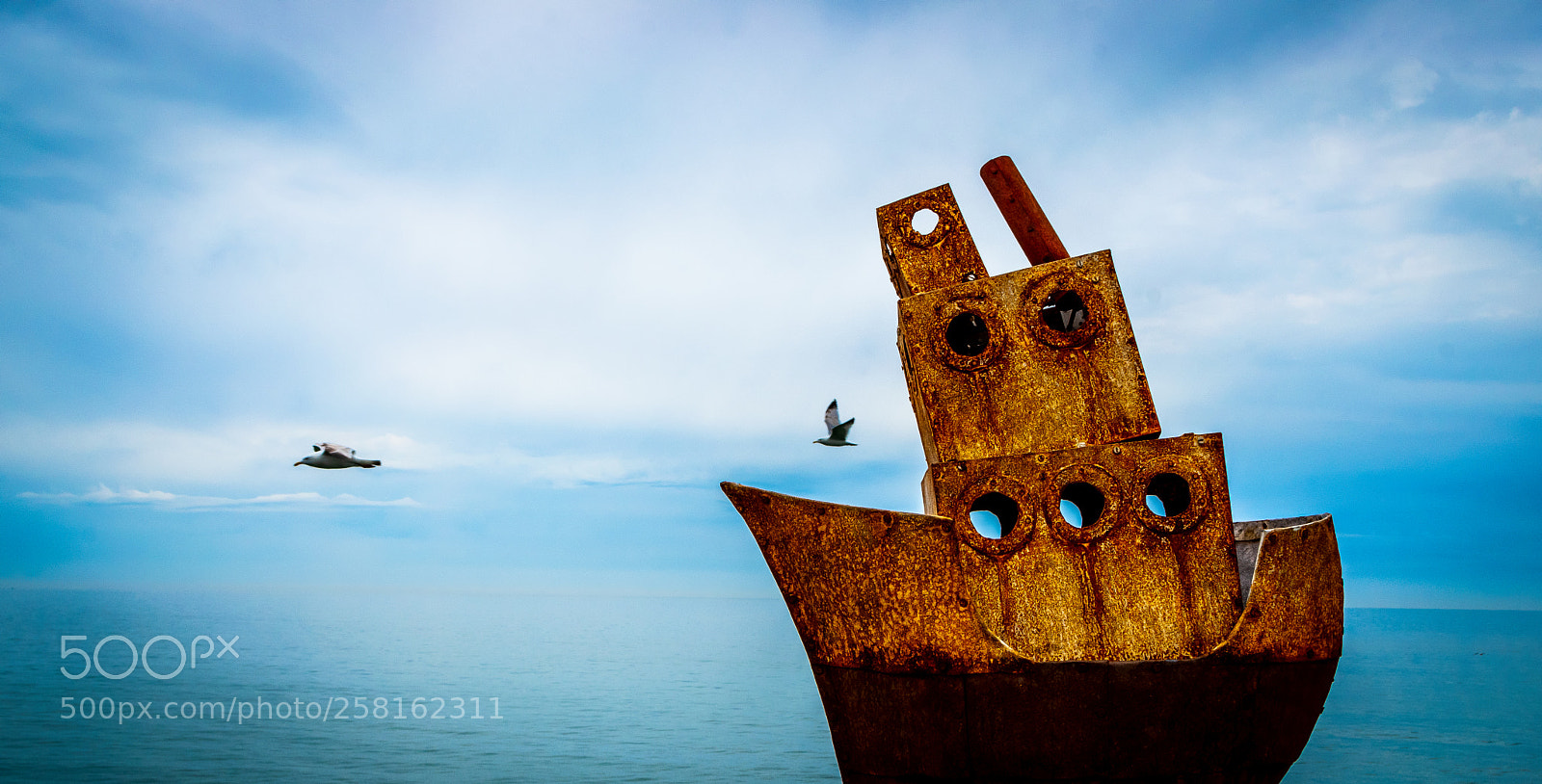 Nikon D5500 sample photo. Life at sea photography