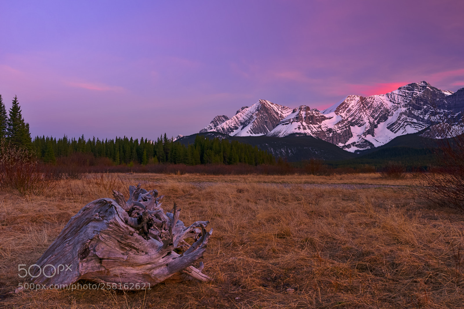 Sony a7 III sample photo. Kananaskis sunset photography