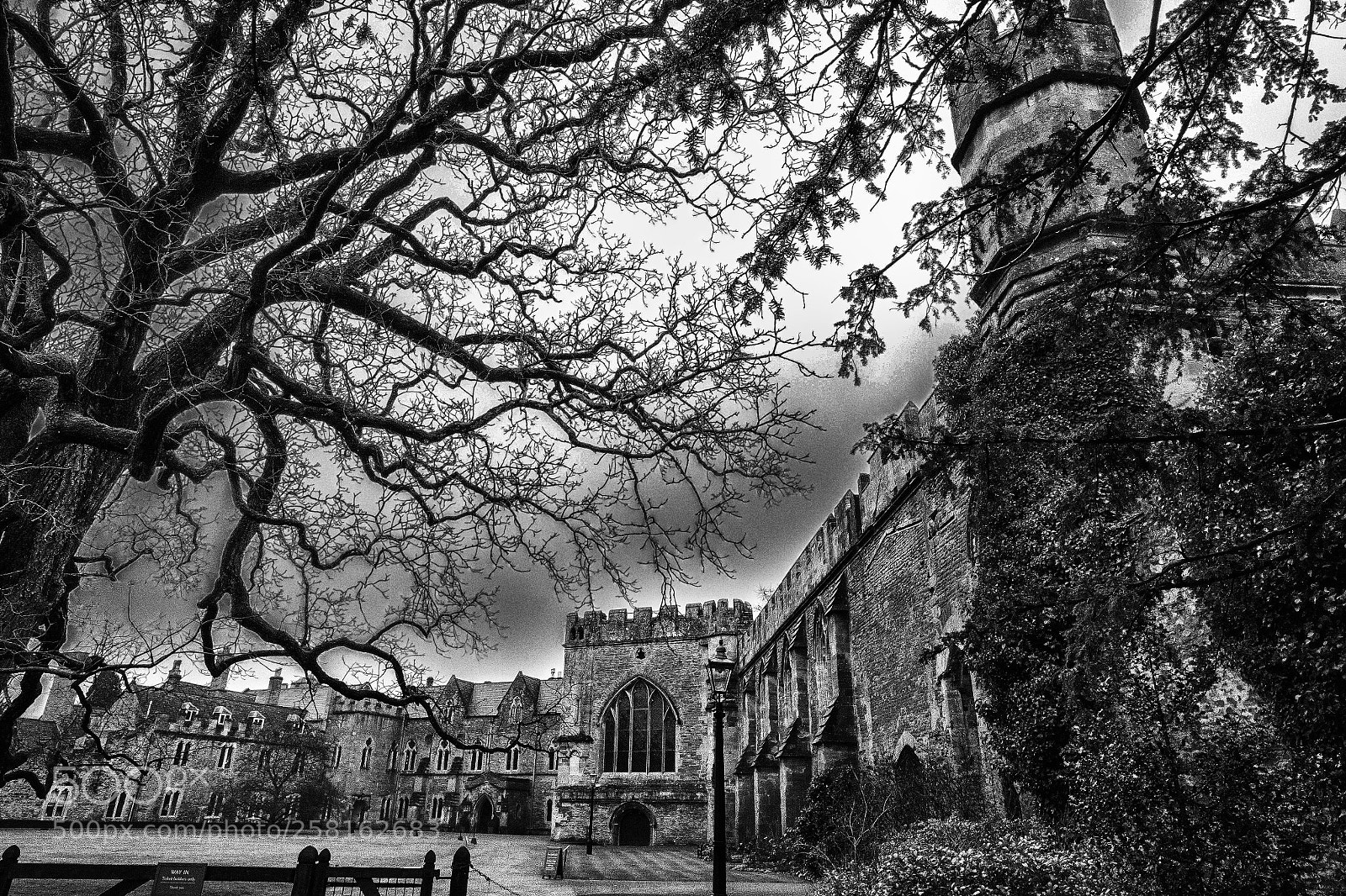 Fujifilm X-T10 sample photo. Bishop's palace photography