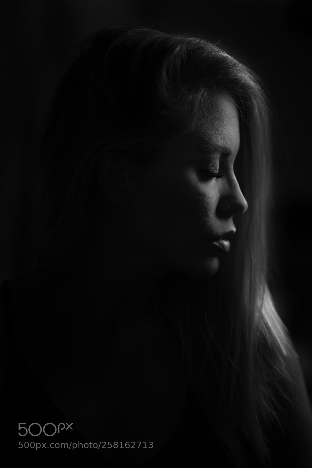 Nikon D700 sample photo. Untitled photography