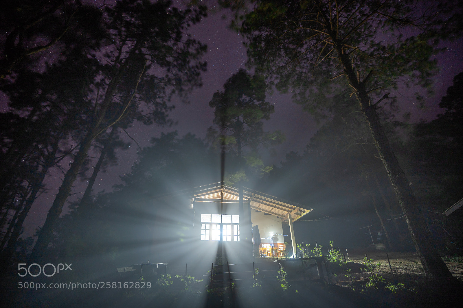 Sony a7 III sample photo. A night in the photography