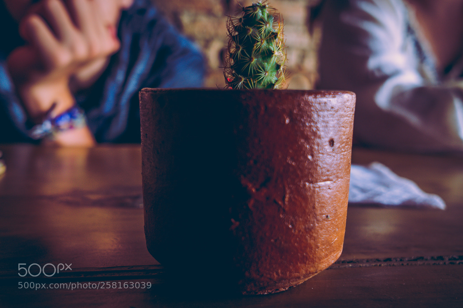 Sony a6000 sample photo. Thorn photography