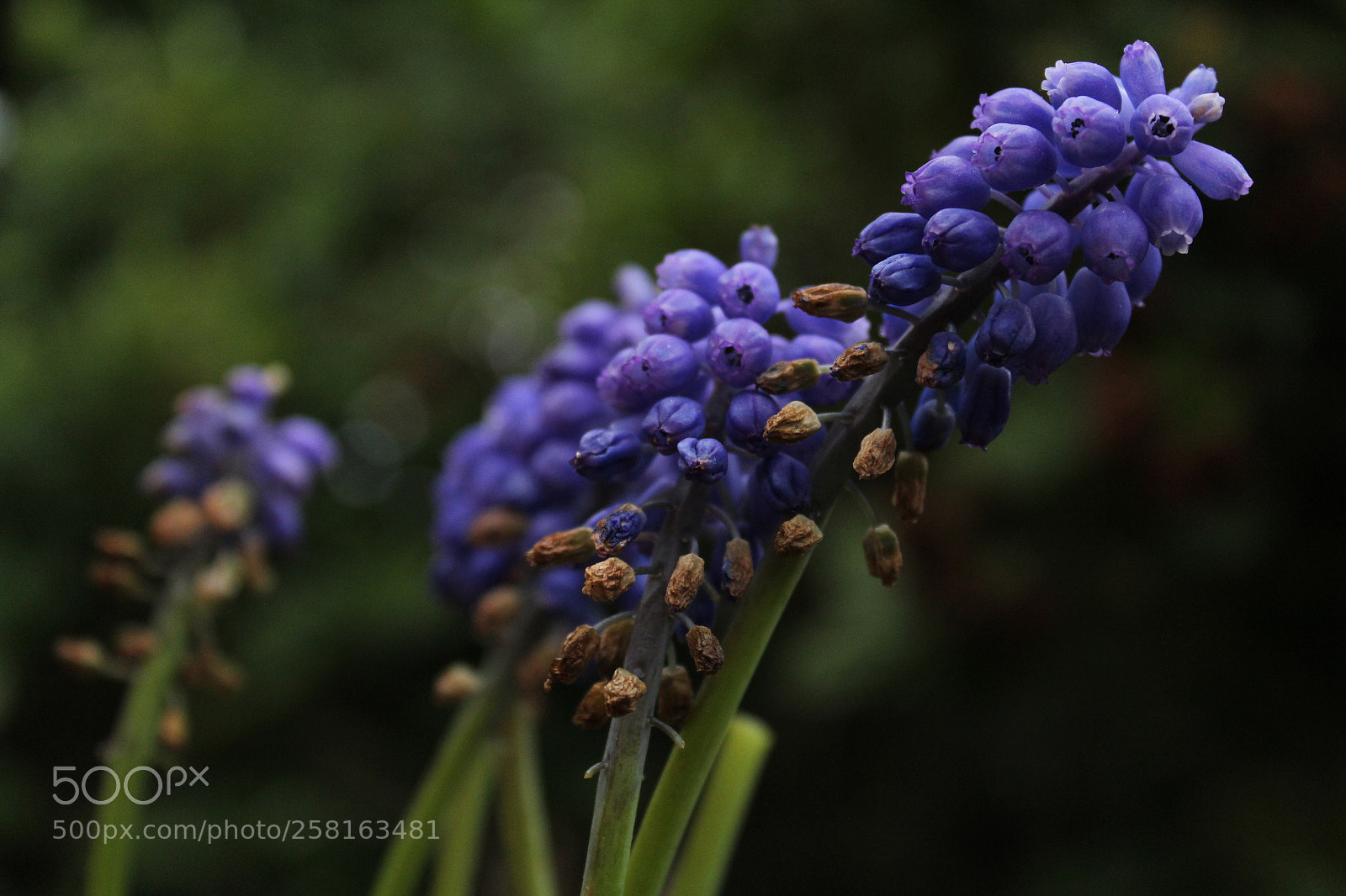Canon EOS 1300D (EOS Rebel T6 / EOS Kiss X80) sample photo. Untitled photography