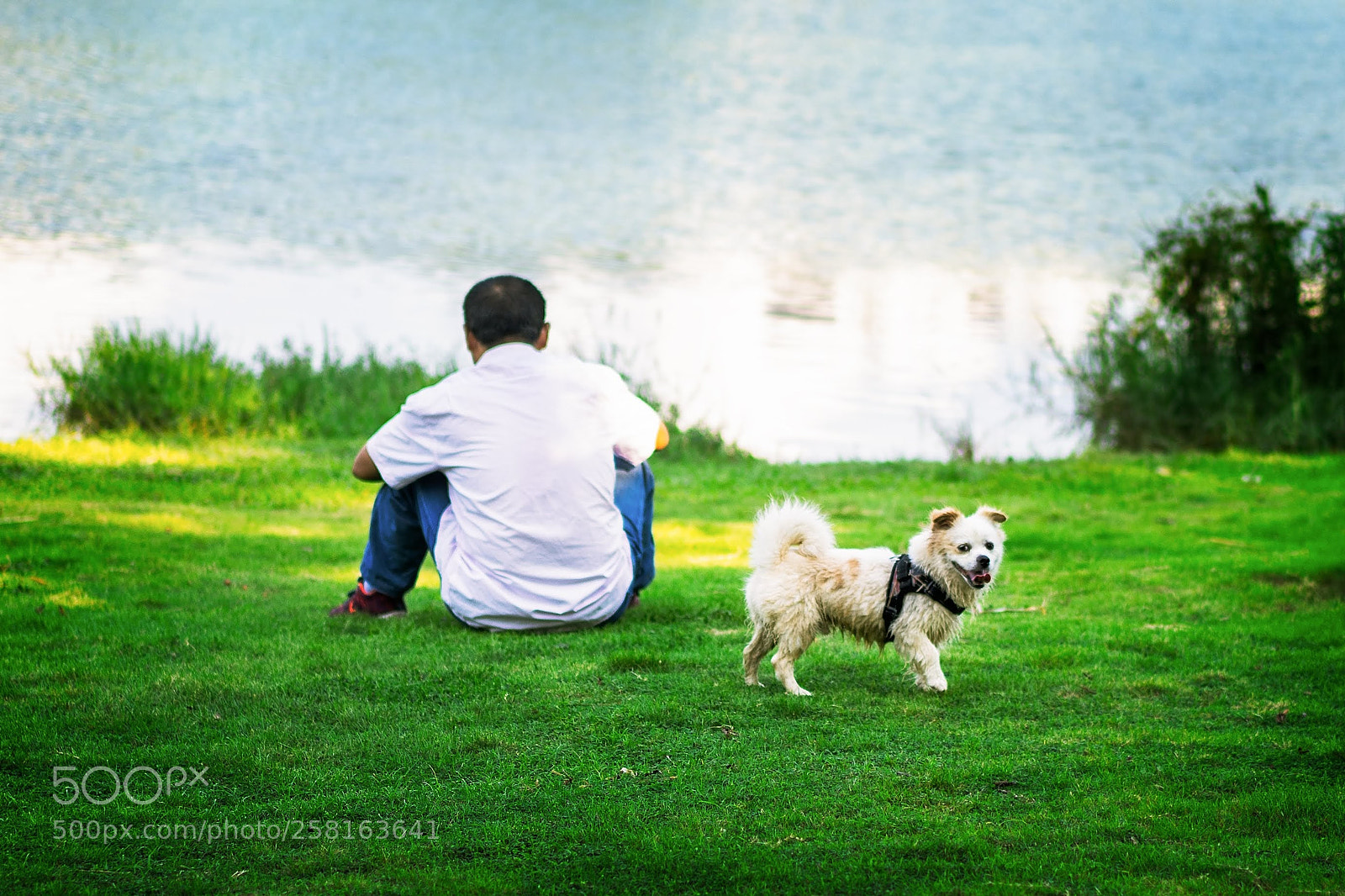 Sony a7 sample photo. Happy photography