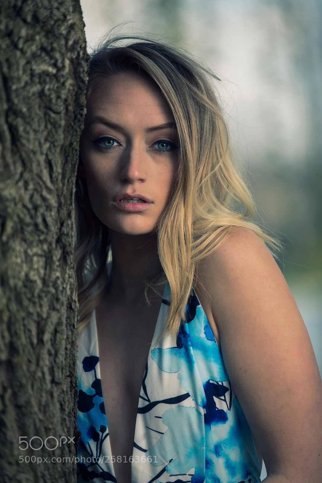 Canon EOS 5D Mark IV sample photo. Looking at you photography