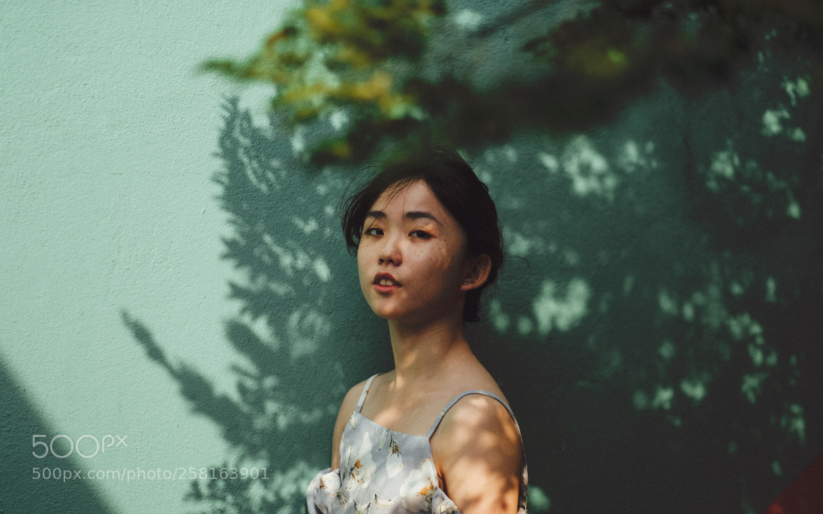 Fujifilm X-T2 sample photo. I'm surprised that you've photography