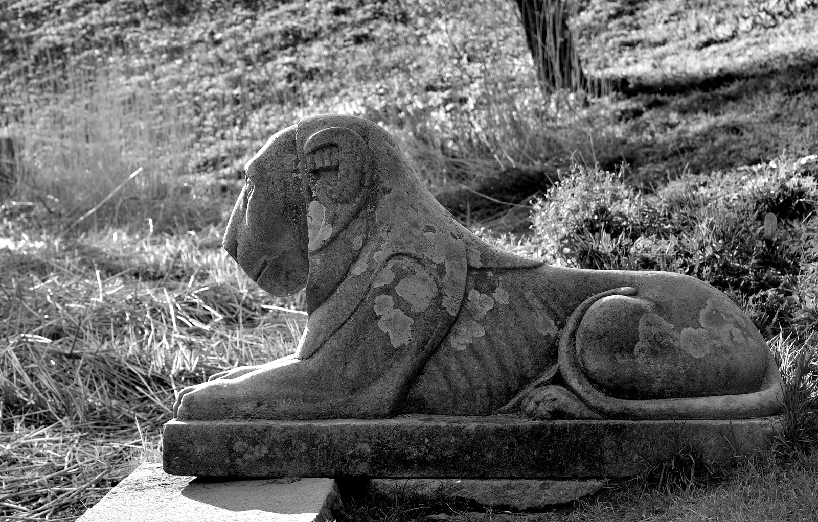 Nikon D610 sample photo. Lion statue closeup. photography