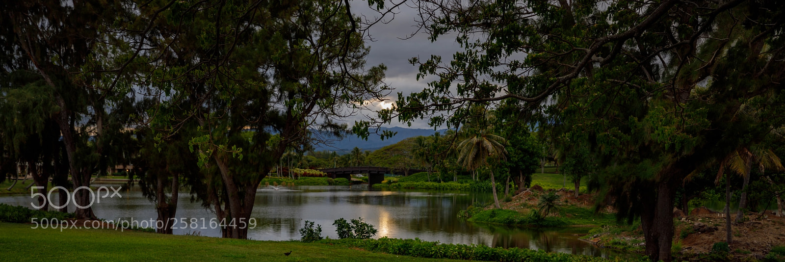 Canon EOS 5D Mark IV sample photo. Kauai bliss photography