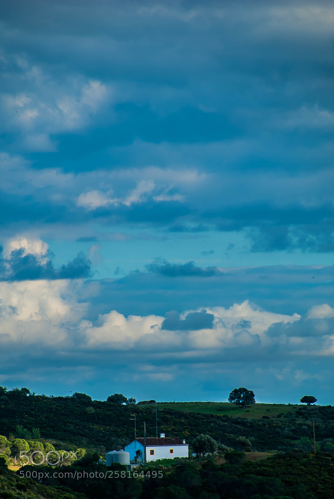 Nikon D60 sample photo. The house, the horizon photography