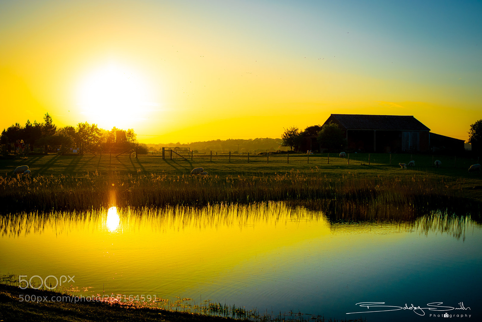 Nikon D5500 sample photo. Golden farmhouse photography