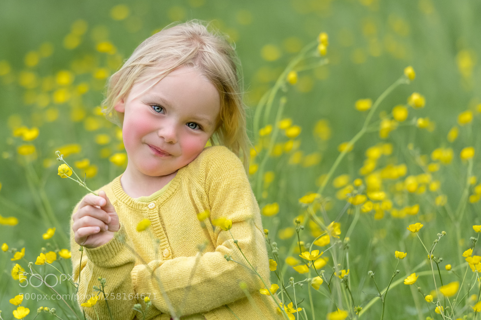 Nikon D850 sample photo. Enjoying springtime photography