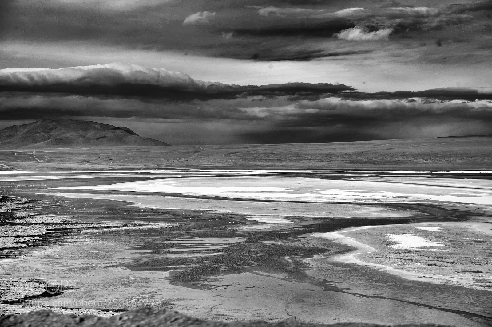 Nikon D700 sample photo. Laguna blanca bolivie photography