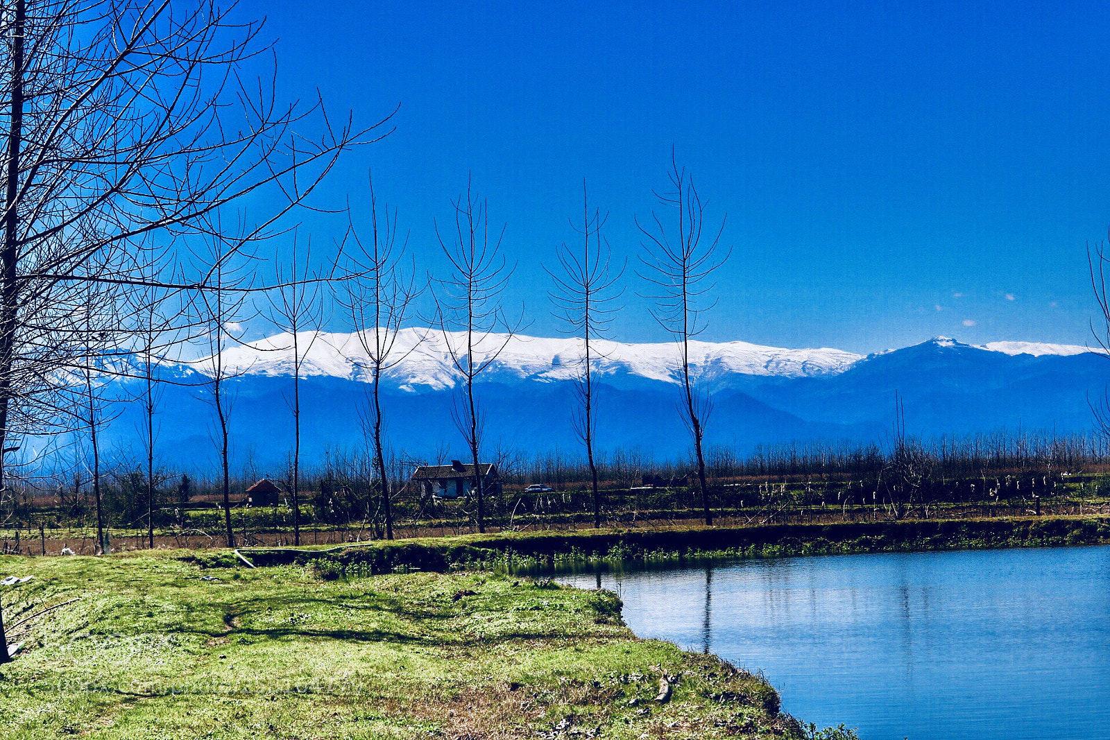 Canon EOS 750D (EOS Rebel T6i / EOS Kiss X8i) sample photo. Blue sky photography