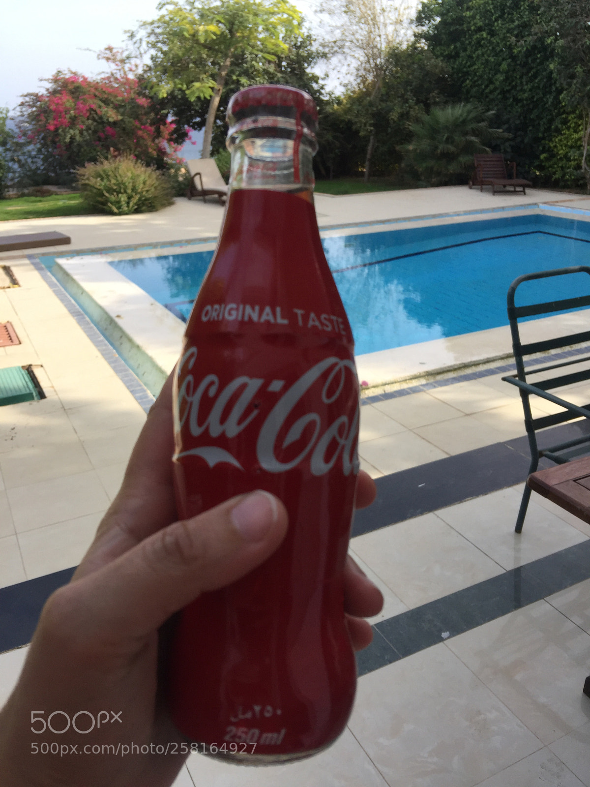Apple iPhone 6 Plus sample photo. Img photography