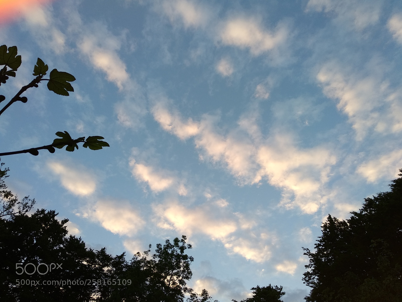 Xiaomi Mi A1 sample photo. Evening sky photography
