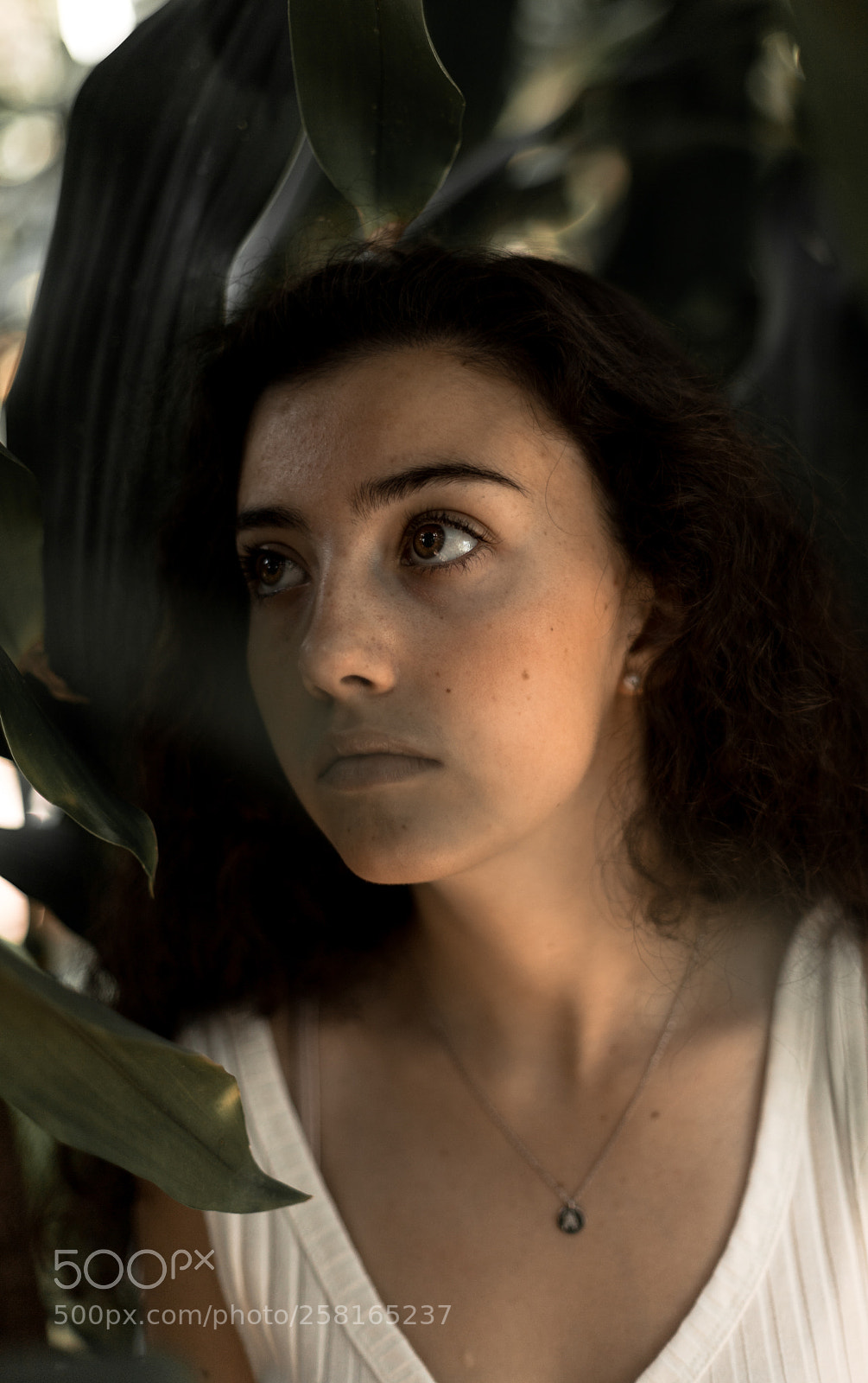 Canon EOS 6D Mark II sample photo. Untitled photography