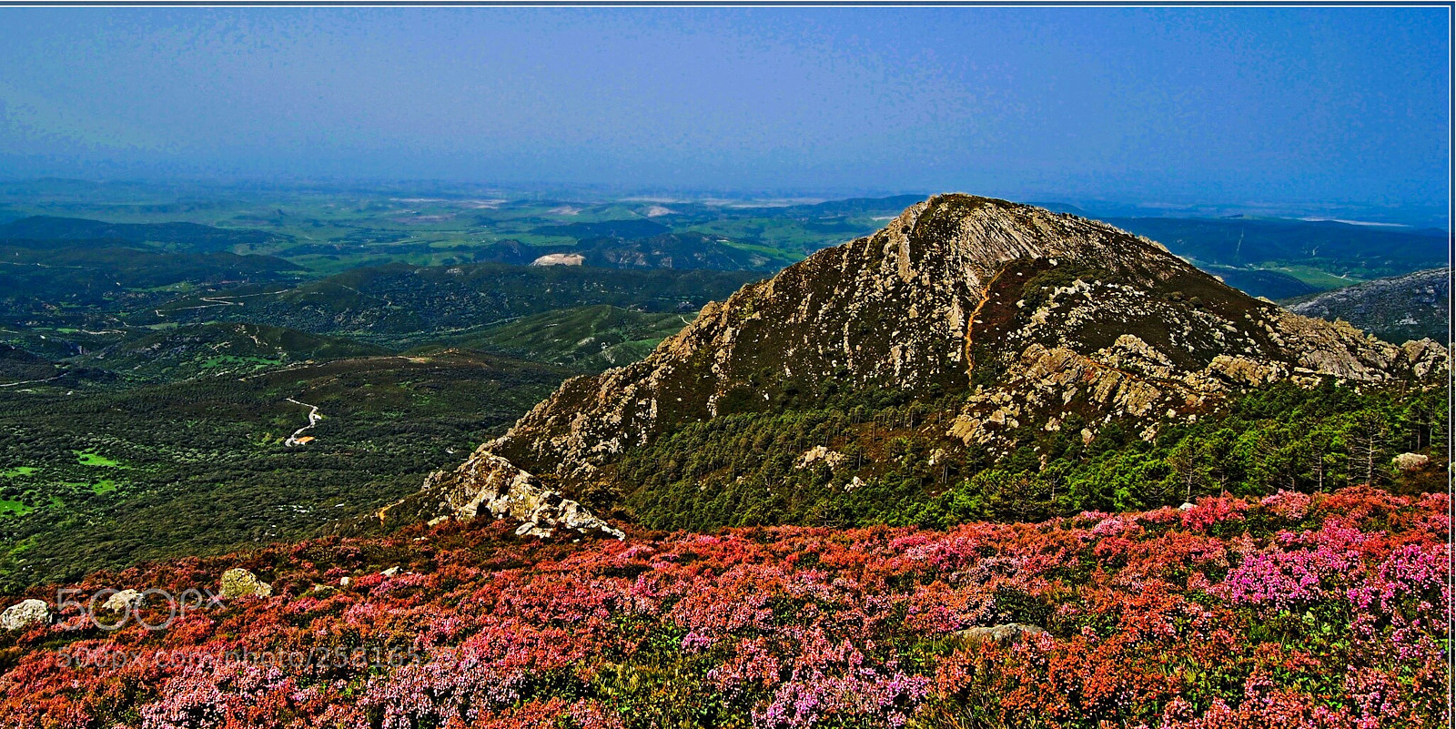 Nikon D3000 sample photo. Primavera photography