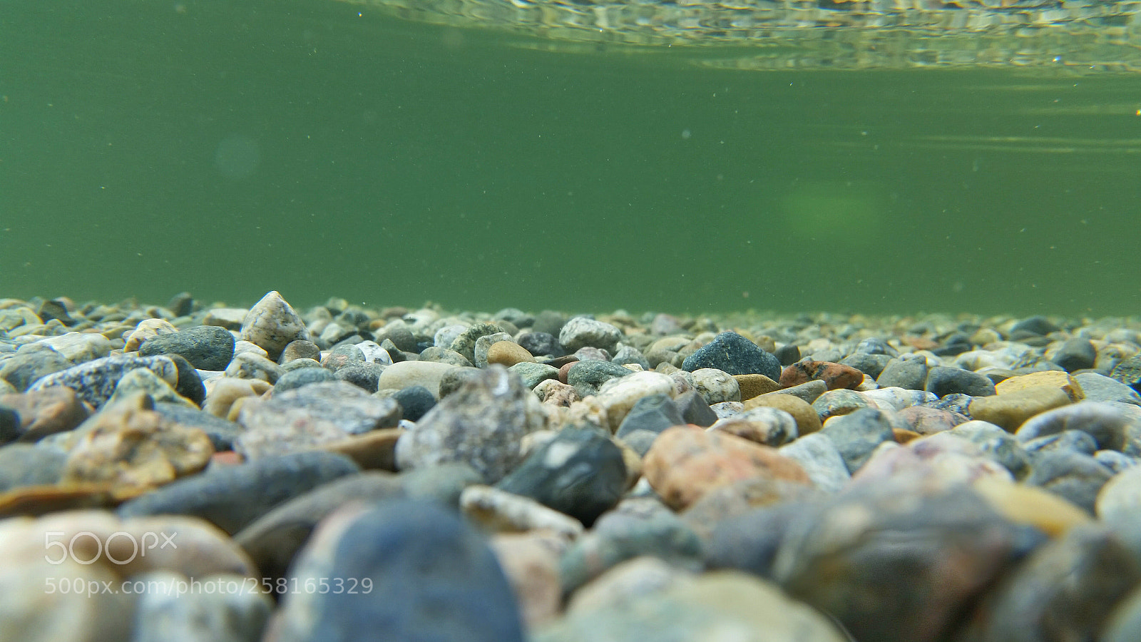 Samsung Galaxy S5 sample photo. ~ photography