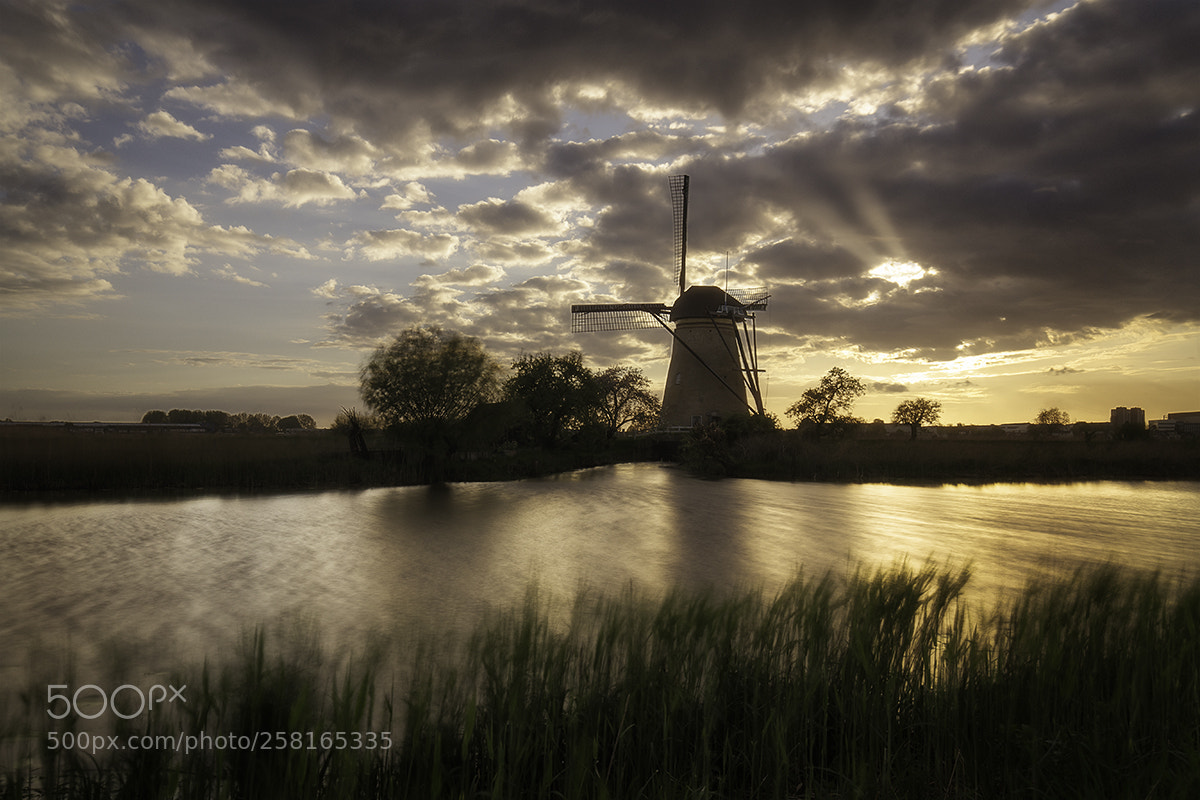 Canon EOS 6D sample photo. Tamonto a kinderdijk photography