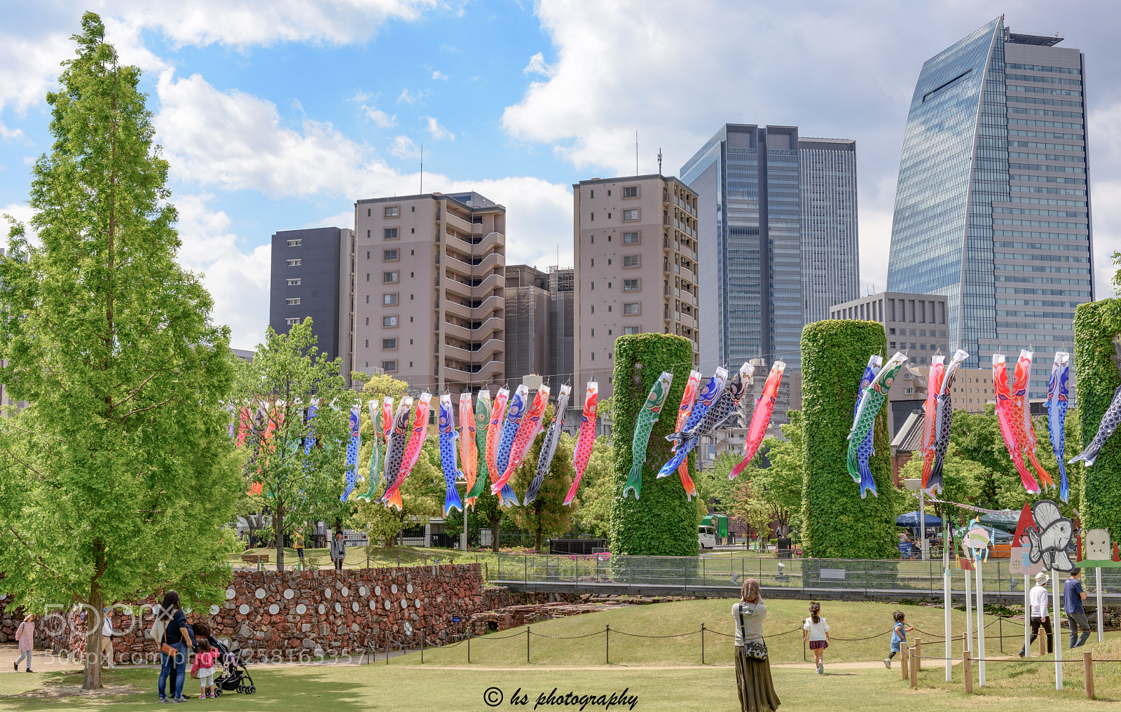 Nikon D810 sample photo. Carp streamers photography