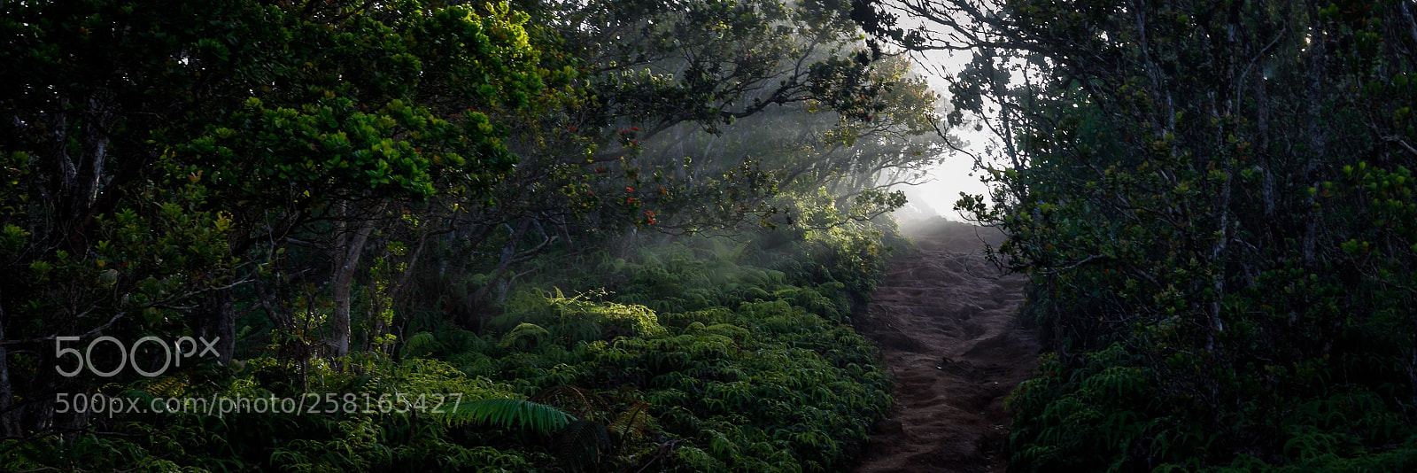 Canon EOS 5D Mark IV sample photo. Kauai photography