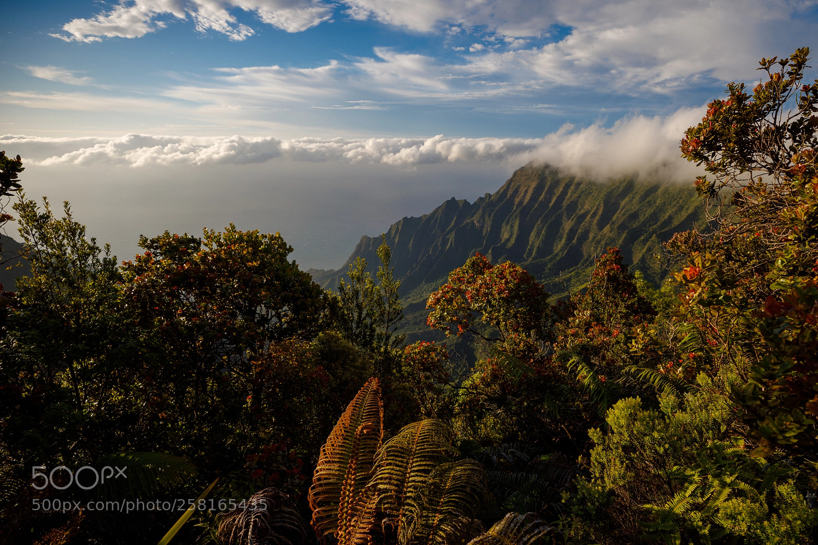Canon EOS 5D Mark IV sample photo. Na pali ridgeline photography