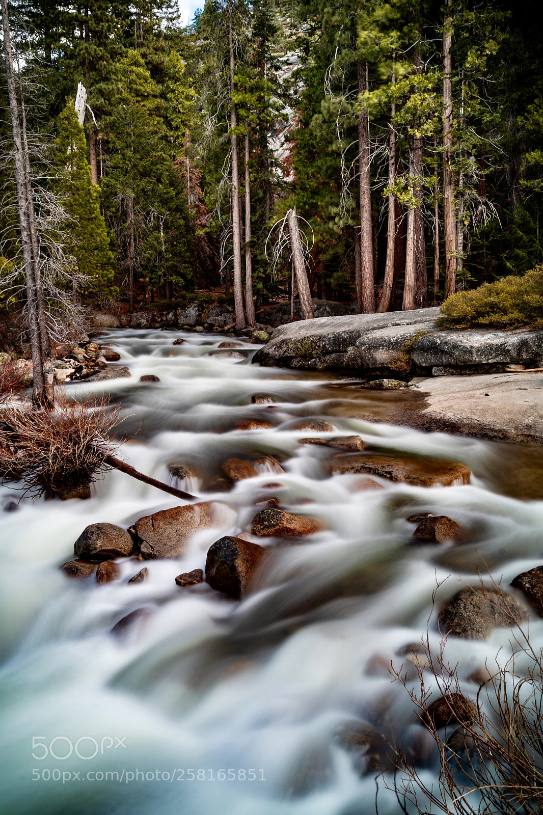 Sony a7 III sample photo. Flowing streams in yosemite photography