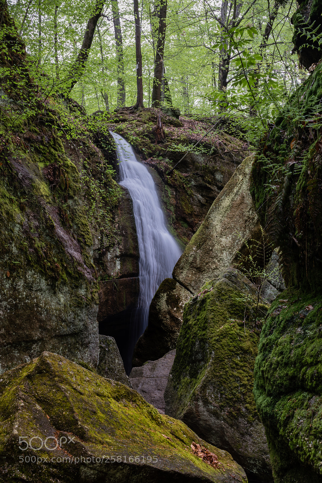 Nikon D5500 sample photo. Waterfall after rain photography