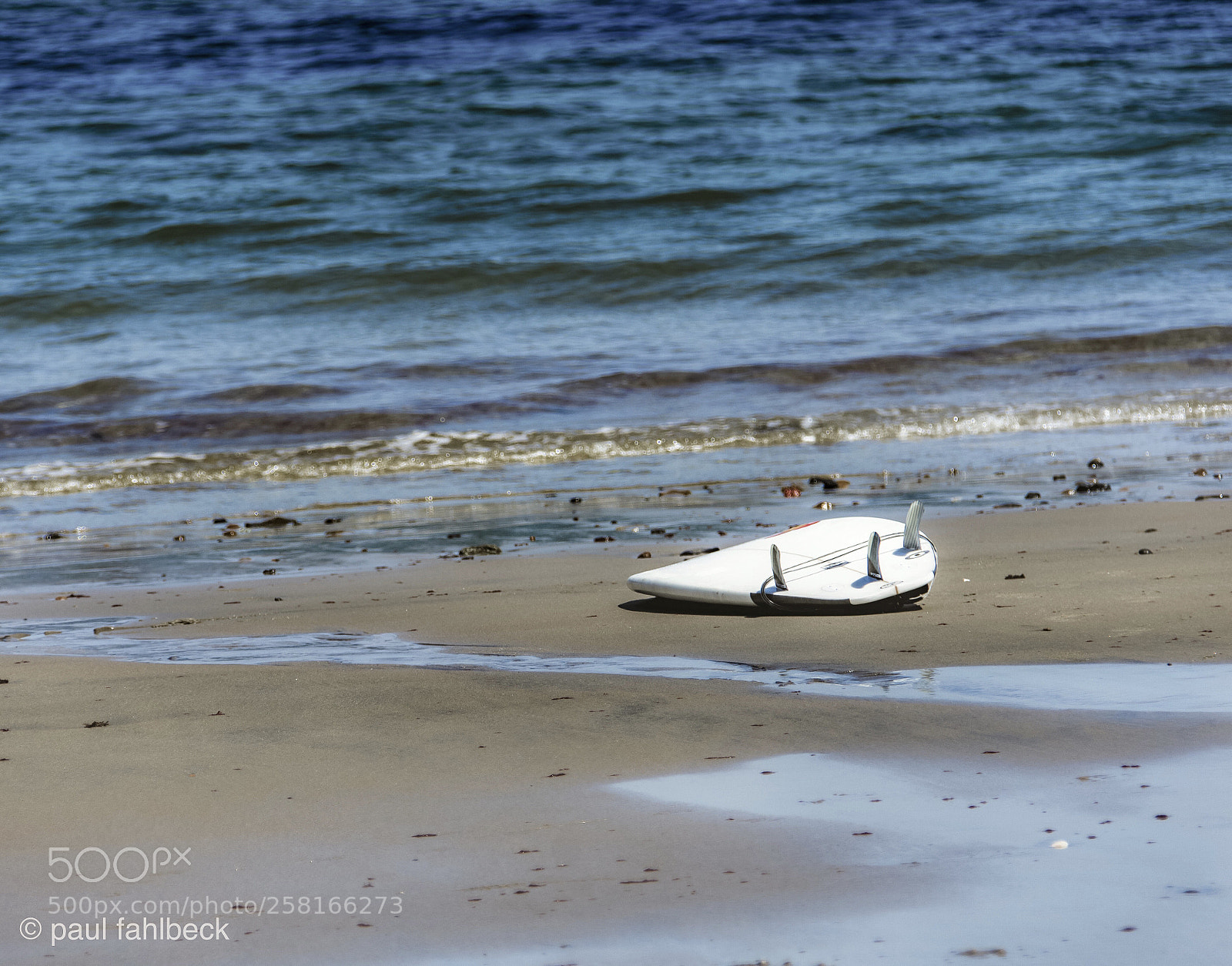 Nikon D7200 sample photo. Untitled photography