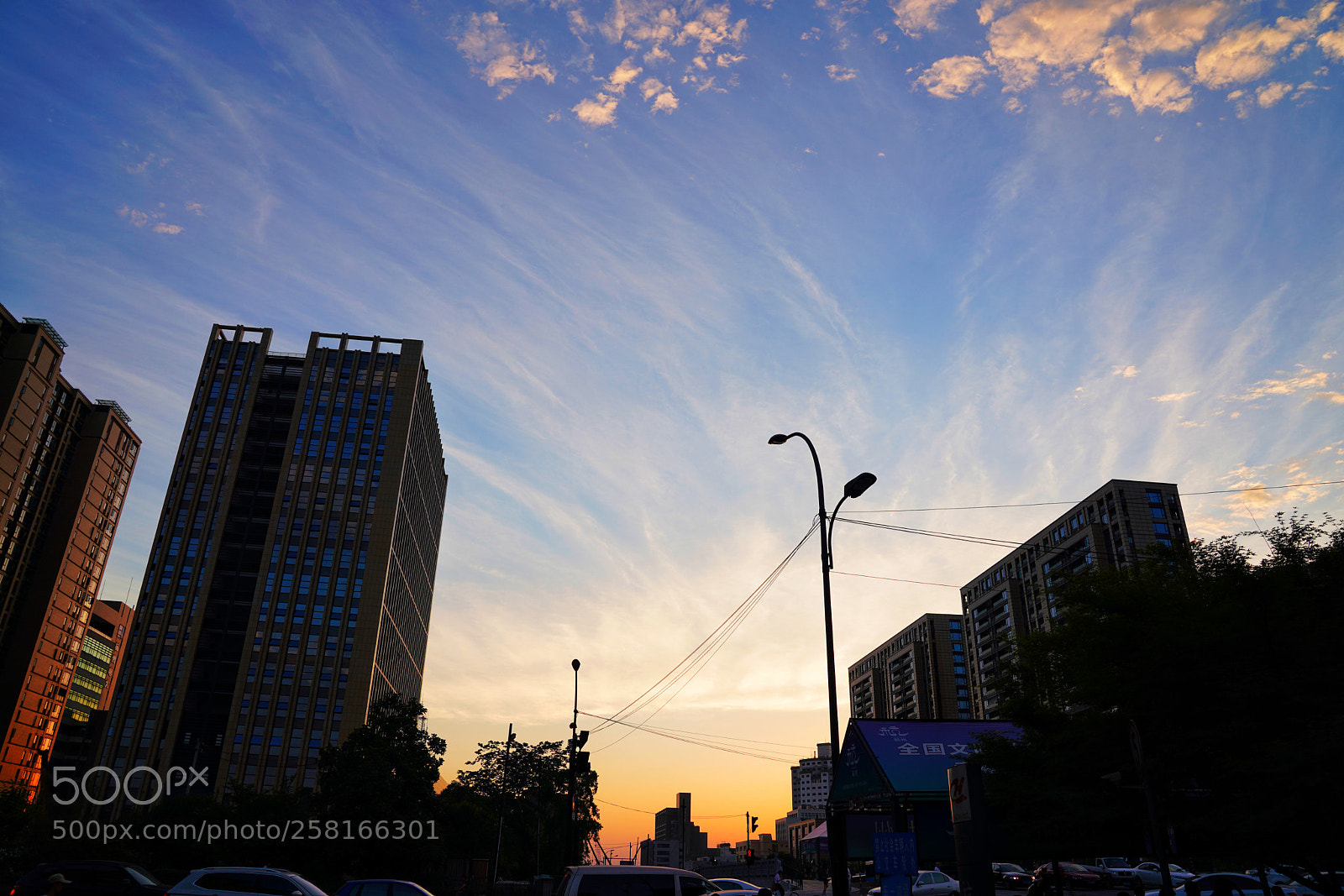 Sony a7R III sample photo. Untitled photography