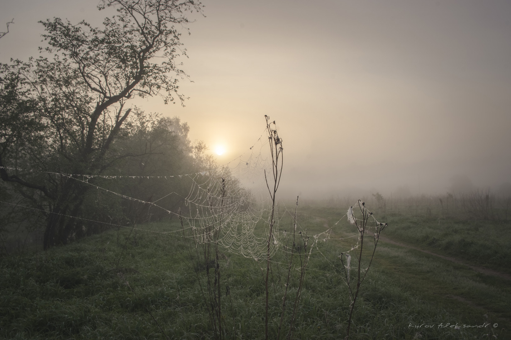 Pentax K20D sample photo. Misty morning photography