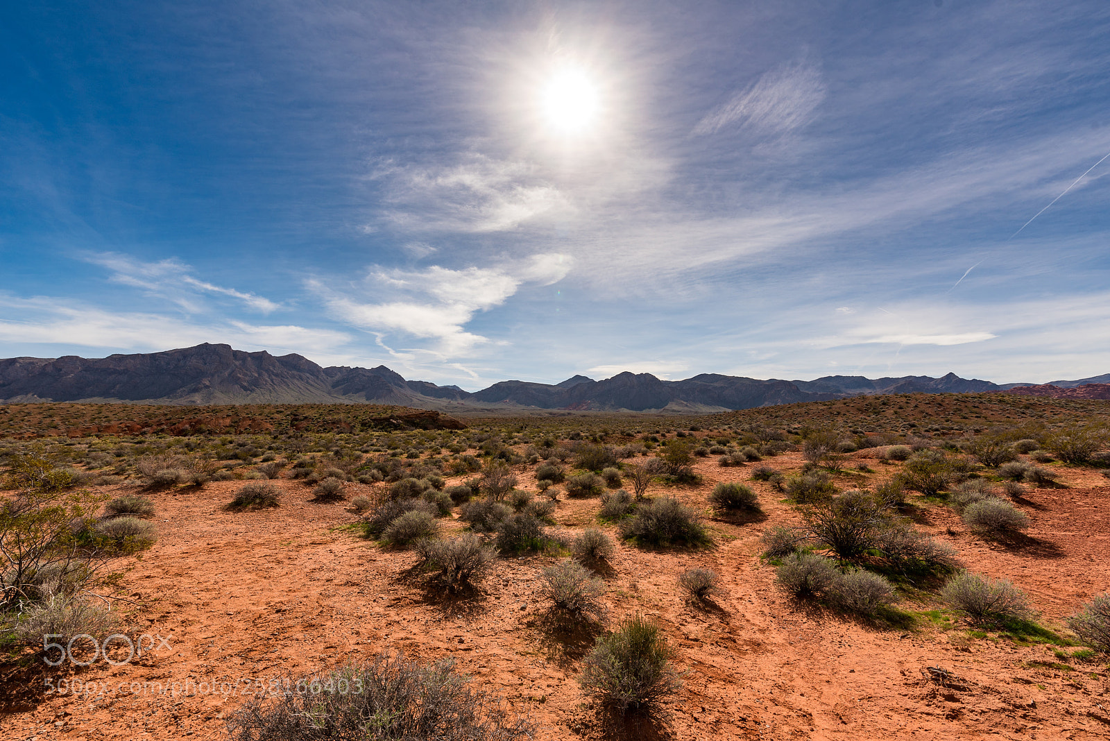 Nikon D750 sample photo. Valley of fire photography