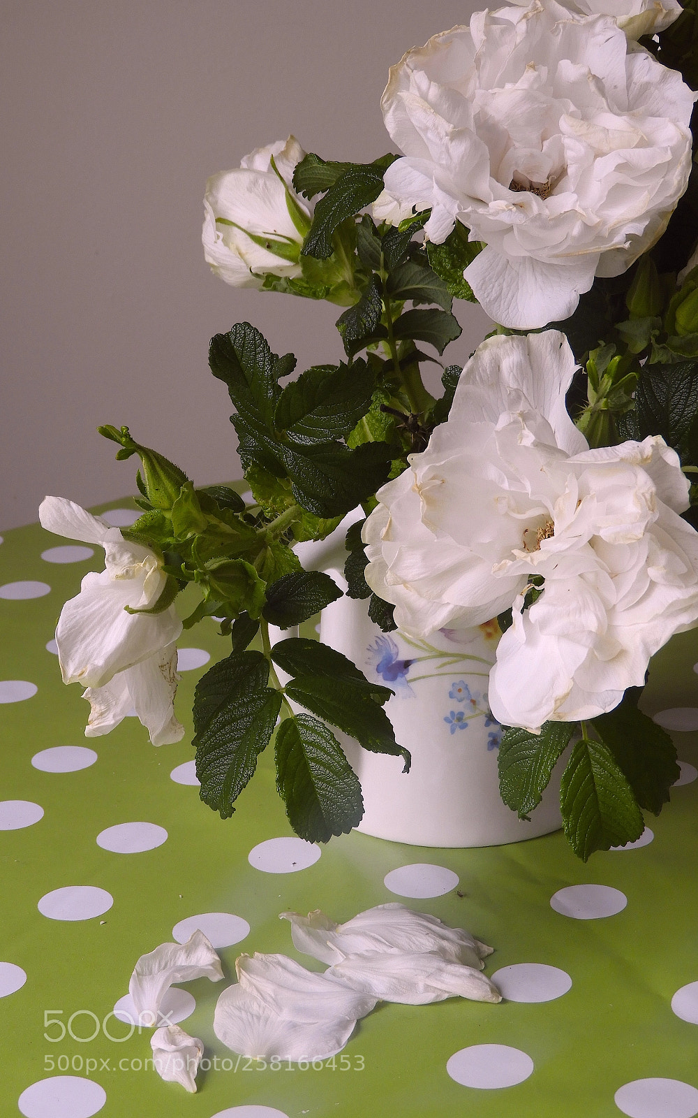 Nikon Coolpix B700 sample photo. Still life with roses photography