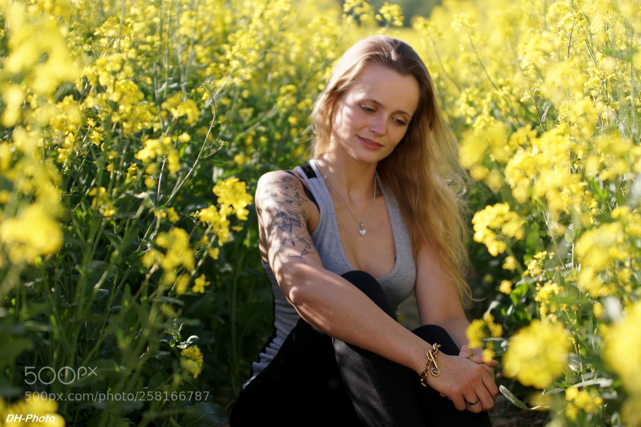 Sony ILCA-77M2 sample photo. In the yellow field photography