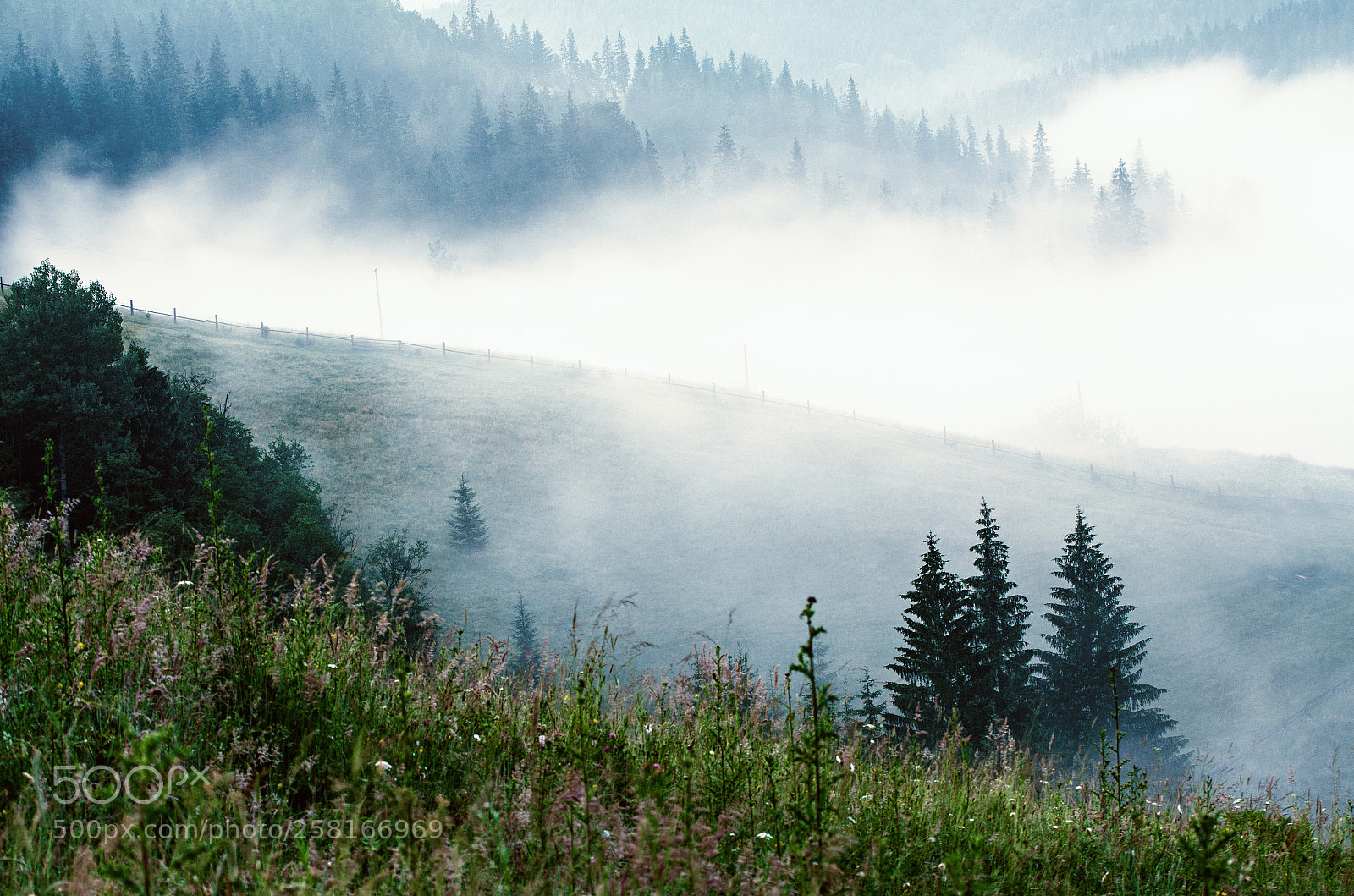 Nikon D7000 sample photo. Foggy morning landscape photography