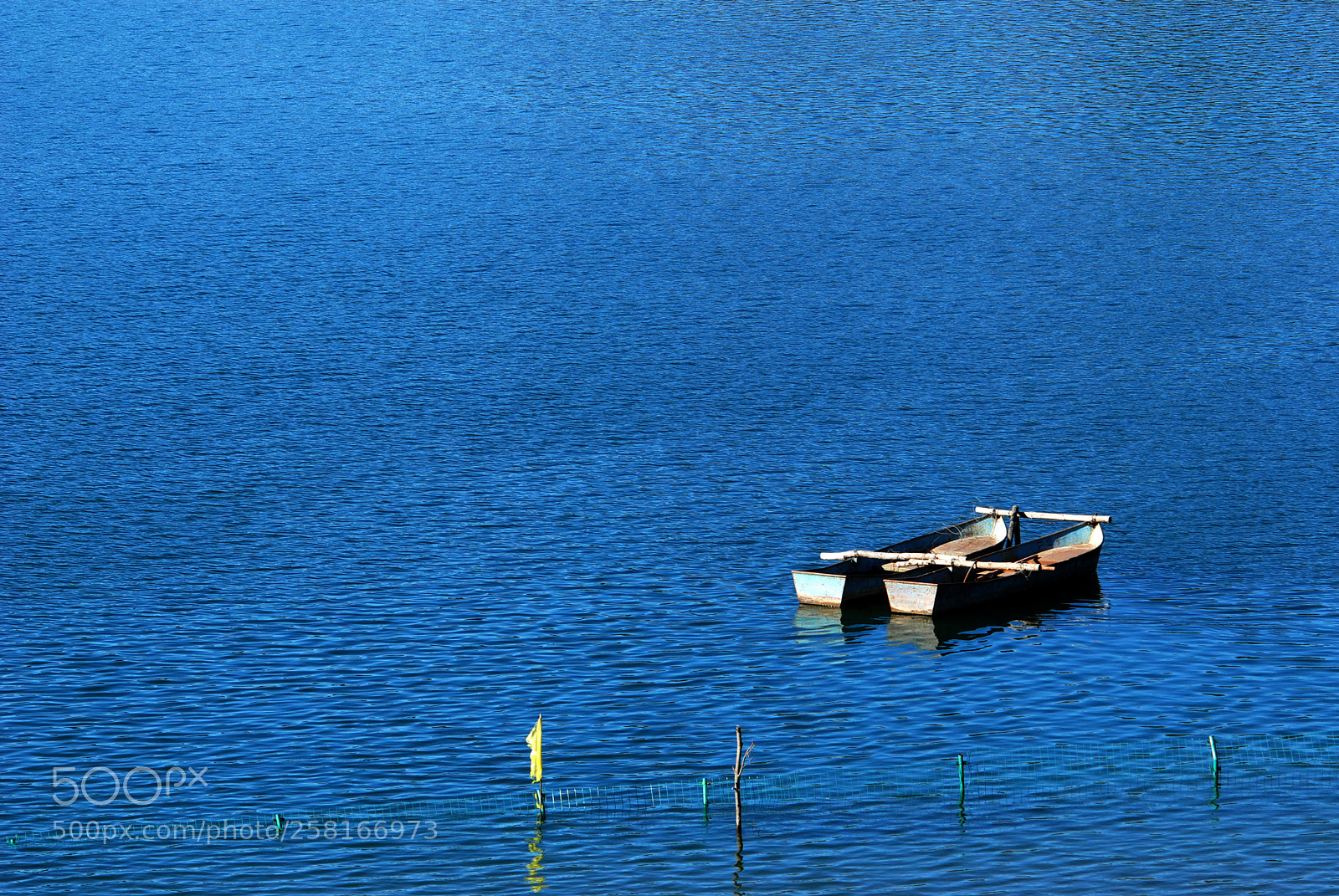 Nikon D80 sample photo. Untitled photography