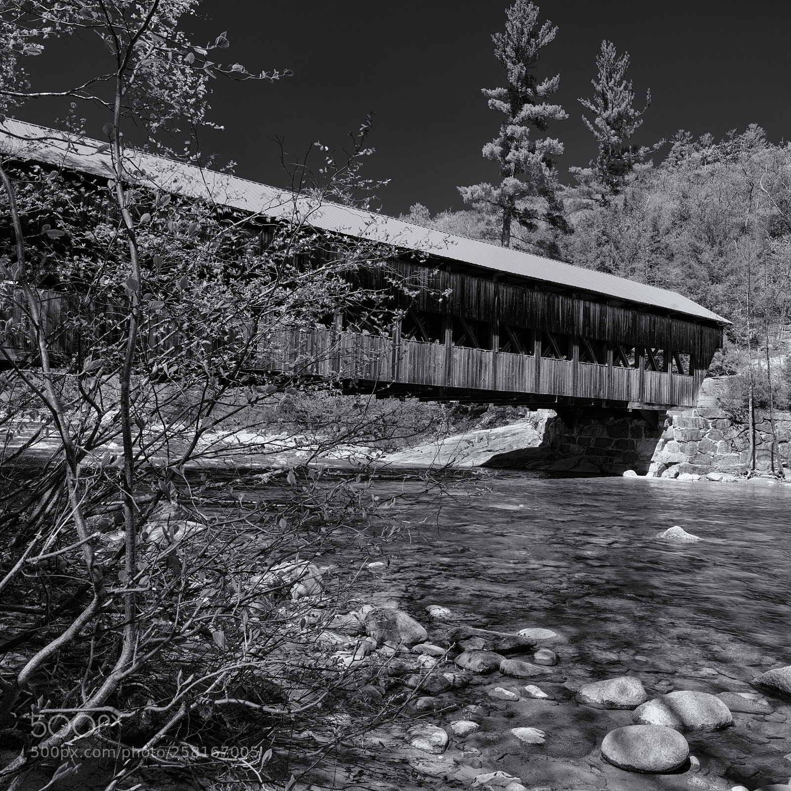 Hasselblad X1D-50c sample photo. Albany covered bridge photography