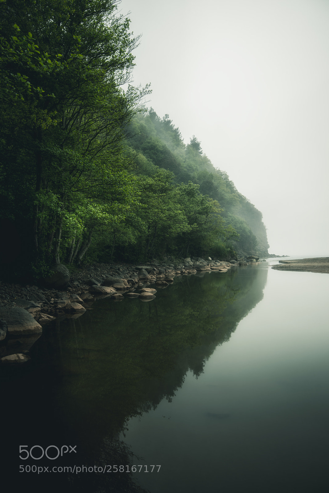 Nikon D800 sample photo. Infiltration of green photography