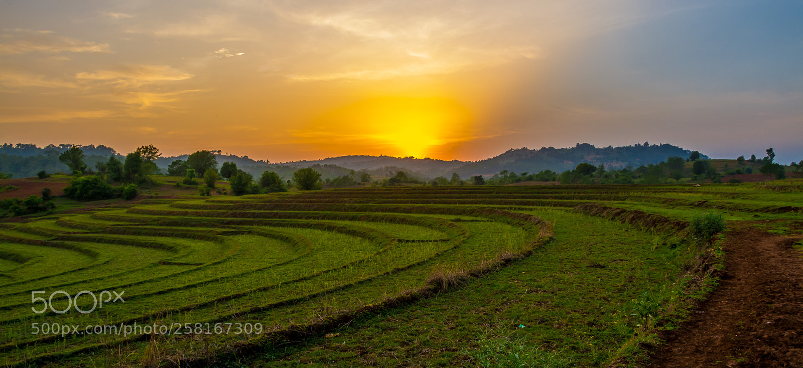 Nikon D5200 sample photo. Steps to sunrise photography