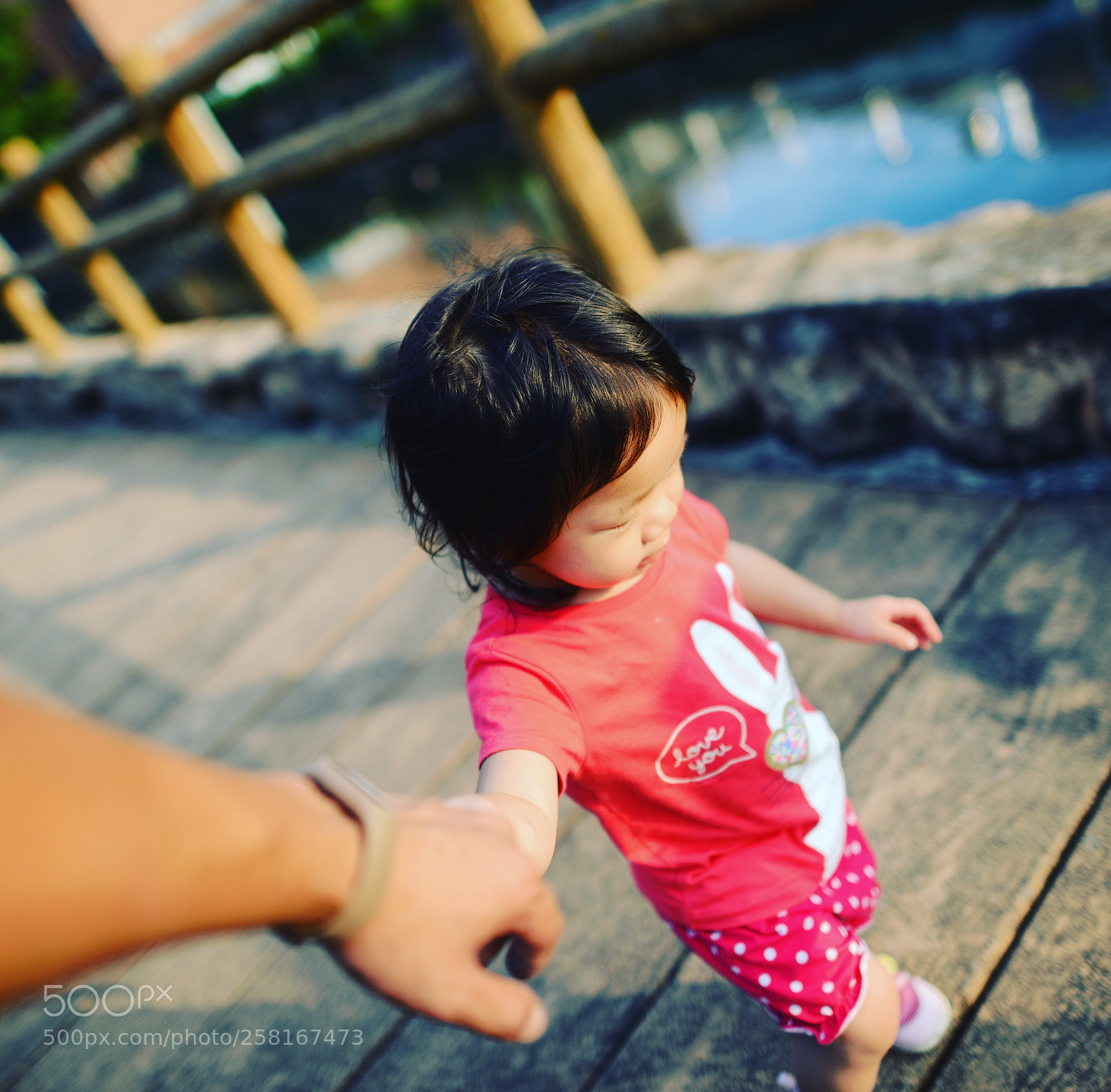 Nikon D800 sample photo. Untitled photography