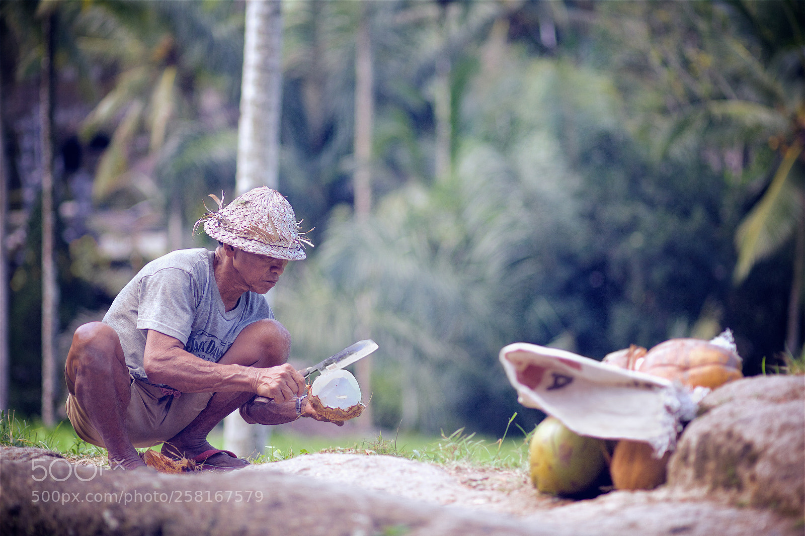 Canon EOS 5D Mark II sample photo. Scraping to the juice photography