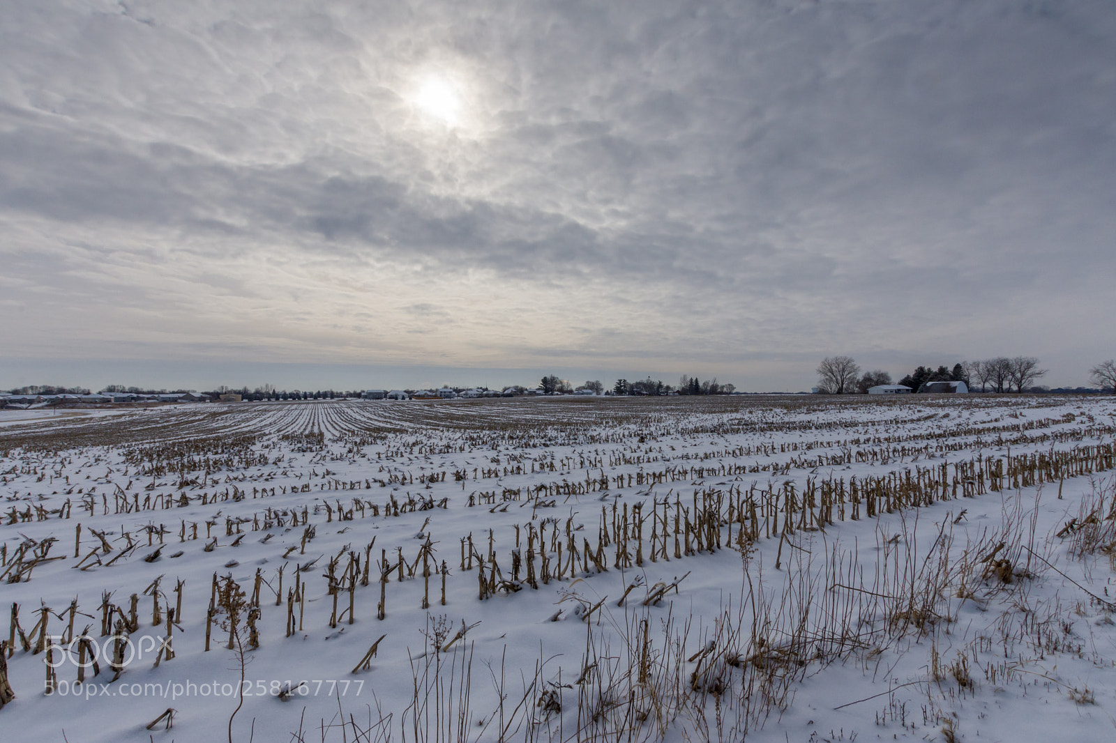 Nikon D7200 sample photo. Untitled photography