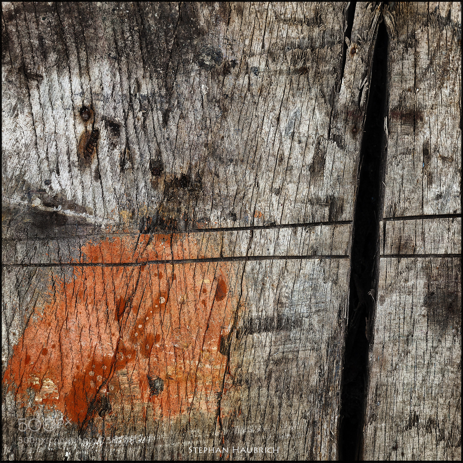 Canon EOS 5D Mark II sample photo. [ holz orange ] photography