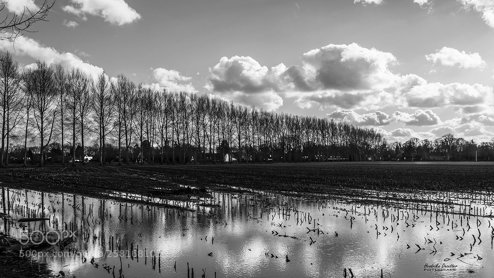 Nikon D3 sample photo. Black and white photography
