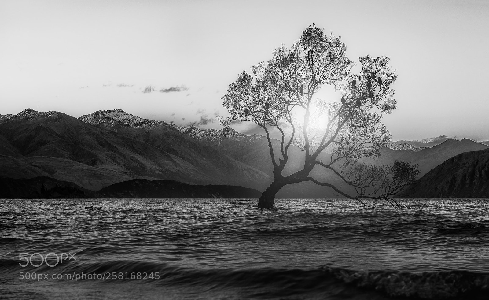 Nikon D810 sample photo. Lake wanaka photography