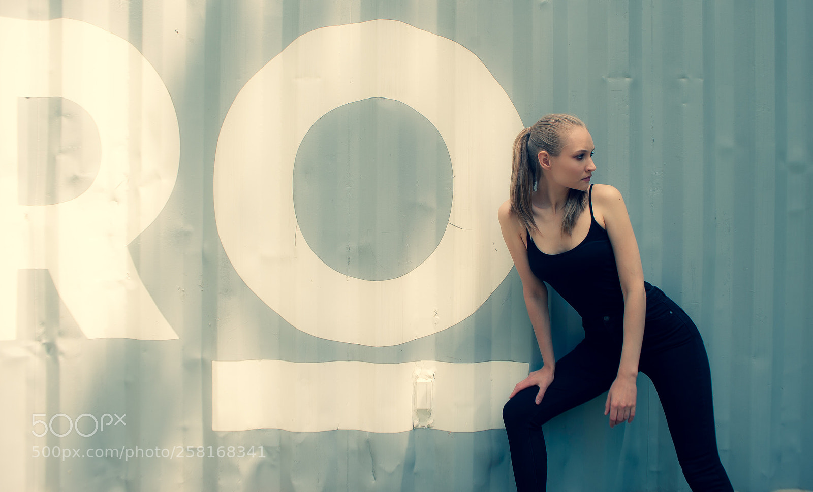Nikon D700 sample photo. Ro 2 photography